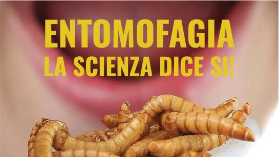 Entomofagia, la scienza dice si! Serata divulgativa gratuita con assaggio di specie edibili